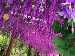 -栾川竹海野生动物园