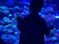 -太平洋海底世界