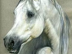 -信马画室 成人零基础到个人创作画室(亚运村店)