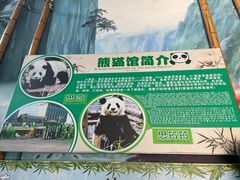 -灵玲国际马戏城