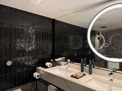 -新加坡乌节希尔顿酒店 (SG Clean)