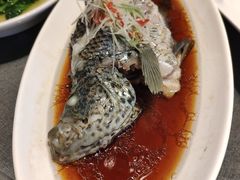 -碧丽宫大酒店(召稼楼店)