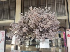 -嘉悦汗蒸时代(曙光路店)