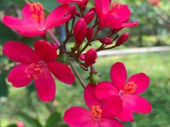 -火炉山森林公园