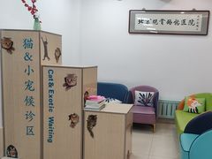 -北京观赏动物医院·24小时大型综合·猫专科·异宠专科