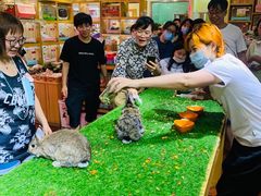 -宠物兔专门店(天丰利市场店)