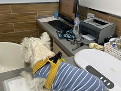 -爱侣宠医·鹦鹉专科·小型哺乳类·异宠专科(灵石路店)