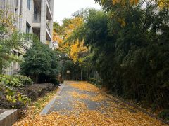 -启星学校(古北校区)