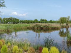 -野鸭湖国家湿地公园
