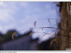 -塔川景区