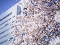-福冈国际邮轮码头