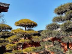 -西安华清御汤酒店