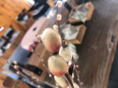 -大理无舍度假酒店