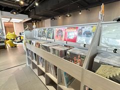 -浣熊唱片店(上海影城店)