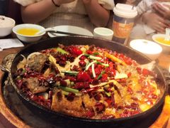 -老板恋上鱼(恒隆广场店)