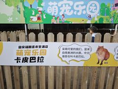 -廊坊固安福朋喜来登酒店