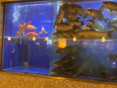 -顺峰顺水顺德菜(第一百货店)