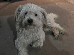 -大润发(梅兰东路店)