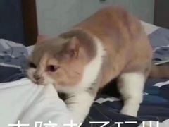 -百乐门喜宴(海珠广场华厦店)