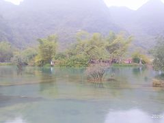 -靖西鹅泉风景区