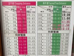 -阿里山神木遗迹