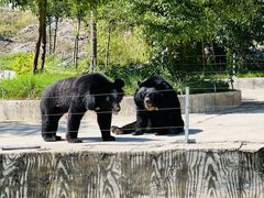 -南京金牛湖风景区