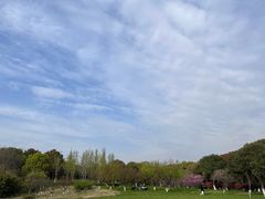 -贡湖湾湿地公园
