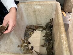 -黄记大闸蟹专卖店·活蟹·醉蟹
