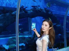 -石家庄极地海洋世界
