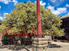 -五台山风景名胜区-罗睺寺
