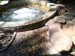 -三亚珠江南田温泉度假区