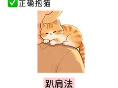 -瑞鹏宠物医院·骨外科·心肾科·肿瘤科(九亭店)