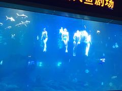 -福州罗源湾海洋世界旅游区
