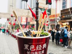 -黑色经典臭豆腐·湖南特产(坡子街店)