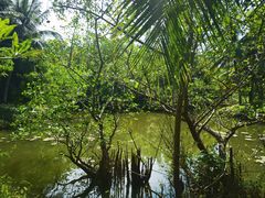 -白沙门生态公园