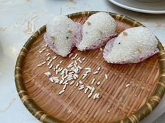 -点都德·毕德寮