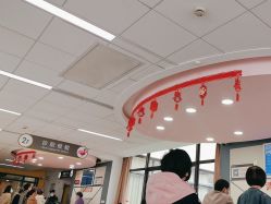 -上海交通大学医学院附属上海儿童医学中心(陆家嘴总院区)