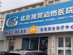 -北京观赏动物医院·24小时大型综合·猫专科·异宠专科