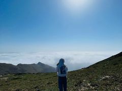 -灵山