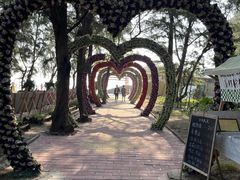 -北海金海湾红树林生态旅游区