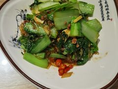 -十六中酱肉·烧烤·京菜小馆(五方桥旗舰店)