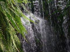 -华南国家植物园-售票处