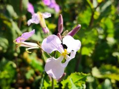 -白塘生态植物园