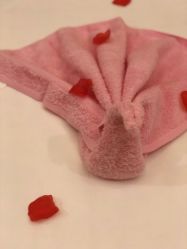 -美丽田园Beauty Farm