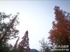 -崂山仰口游览区