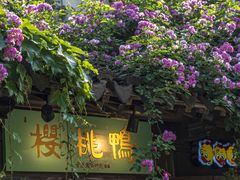 -老门东历史文化街区