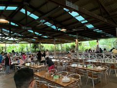 -热带雨林自然公园