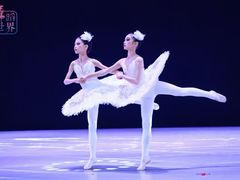 -西安小天鹅艺术团(曲江Alice店)