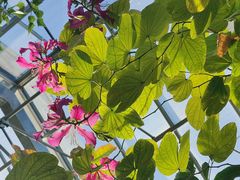 -国家植物园南园