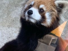 -杭州野生动物世界